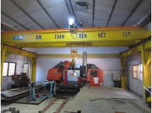 Cầu trục dầm đôi 7,5 tấn